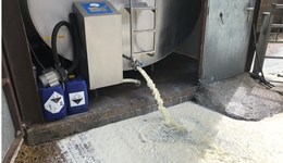 Disposing milk on farm